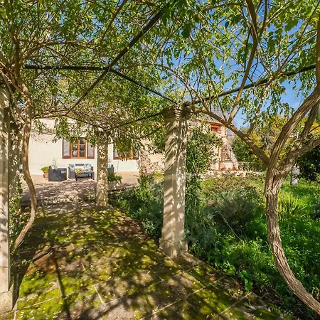 Ideal Mallorca - Cas Mut *